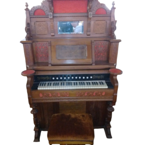 Organs